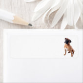 Boxer Dog 2 (Insitu)