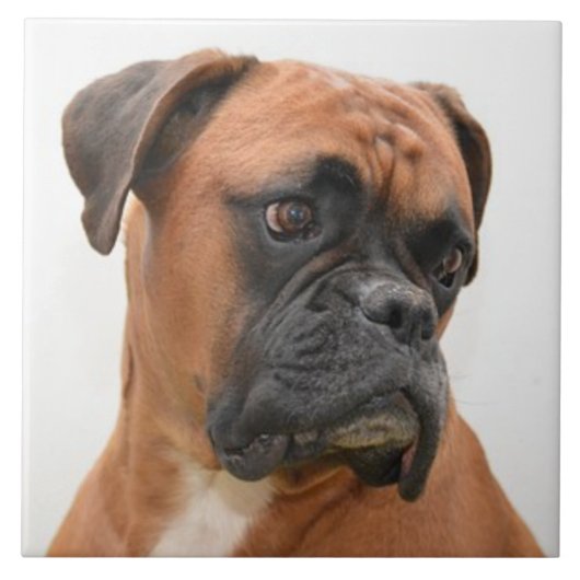 BOXER DOG 3, Haustier-Liebe, Bester Freund-KEEPSAK Fliese (Vorderseite)