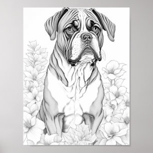 Boxer Dog Aduloring Poster
