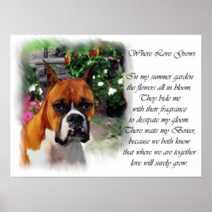 Boxer Dog Art Print Poster