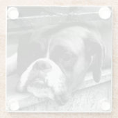 Boxer Dog auf der Windows-Küste Glasuntersetzer (Rückseite)