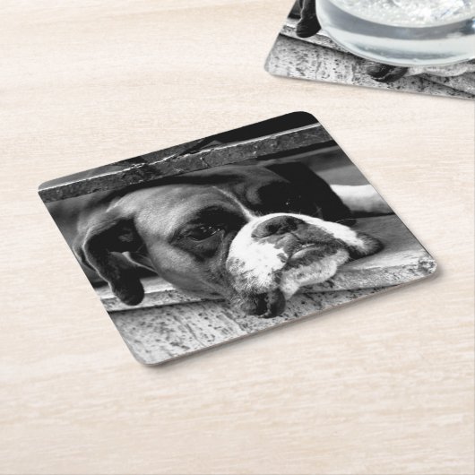 Boxer Dog auf der Windows-Küste Rechteckiger Pappuntersetzer (angewinkelt)