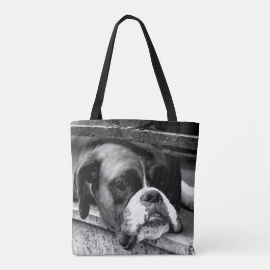 Boxer Dog auf der Windows-STCNA Tasche (Rückseite)