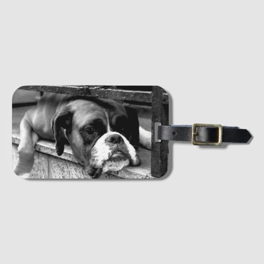 Boxer Dog auf Windows bc ltcnm Gepäckanhänger (Vorderseite (Horizontal))