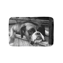 Boxer Dog auf Windows bmcnm