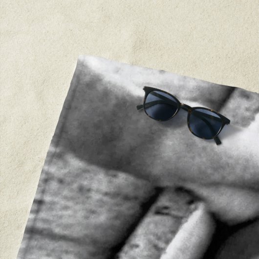 Boxer Dog auf Windows btcn Strandtuch (Beispiel)