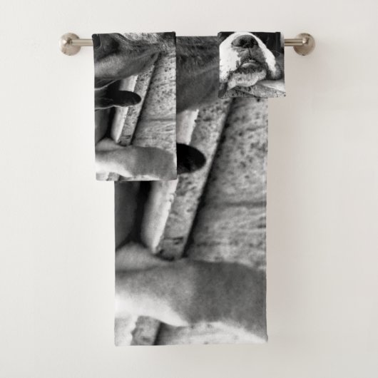Boxer Dog auf Windows btcna Badhandtuch Set (Insitu)