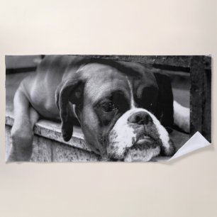 Boxer Dog auf Windows btcna Strandtuch