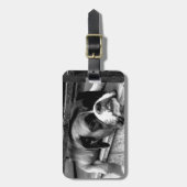 Boxer Dog auf Windows cd ltcna Gepäckanhänger (Vorderseite vertikal)