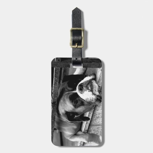 Boxer Dog auf Windows cd ltcnm Gepäckanhänger (Vorderseite vertikal)