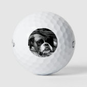 Boxer Dog auf Windows cwb gbcnm Golfball (Vorderseite)