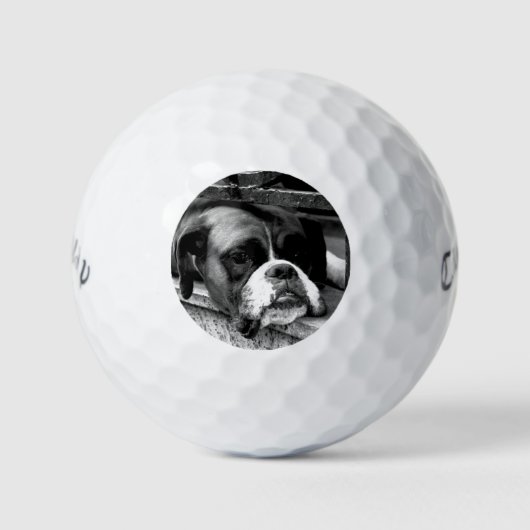 Boxer Dog auf Windows cwb gbcnm Golfball (Vorderseite)