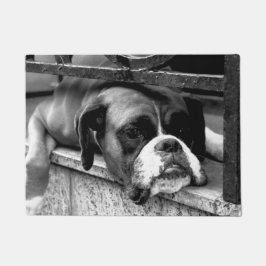 Boxer Dog auf Windows dmcna Fußmatte