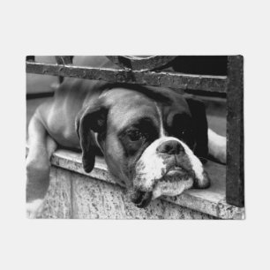 Boxer Dog auf Windows dmcna Fußmatte