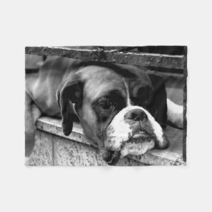 Boxer Dog auf Windows fbcn Fleecedecke