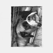 Boxer Dog auf Windows fbcna Fleecedecke (Vorderseite)