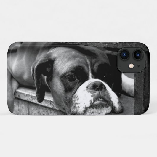 Boxer Dog auf Windows iphcnm Case-Mate iPhone Hülle (Rückseite (Horizontal))