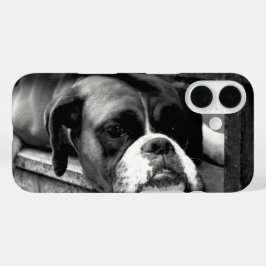 Boxer Dog auf Windows iphcnm iPhone 16 Hülle