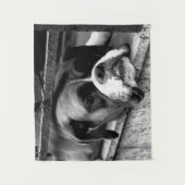 Boxer Dog auf Windows-ktcnm Wandteppich (Vorderseite)