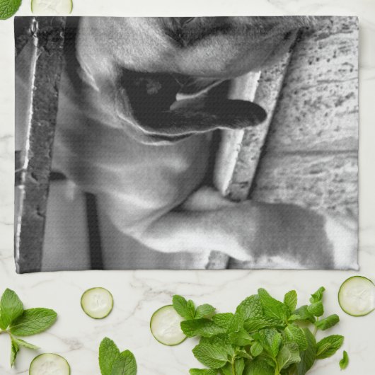 Boxer Dog auf Windows ktm Geschirrtuch (Gefaltet)