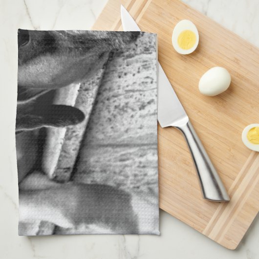 Boxer Dog auf Windows ktm Geschirrtuch (Viertel Falte)