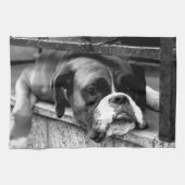 Boxer Dog auf Windows ktm Geschirrtuch (Horizontal)