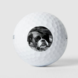 Boxer Dog auf Windows mit gbcna Golfball