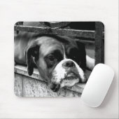 Boxer Dog auf Windows mp arc2 Mousepad (Mit Mouse)