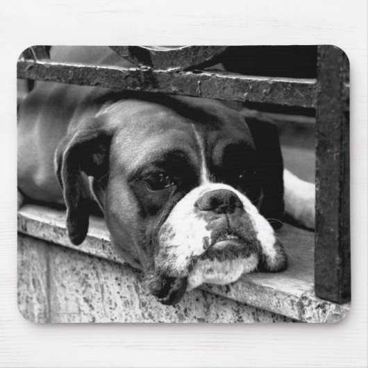Boxer Dog auf Windows mp arc2 Mousepad (Vorne)