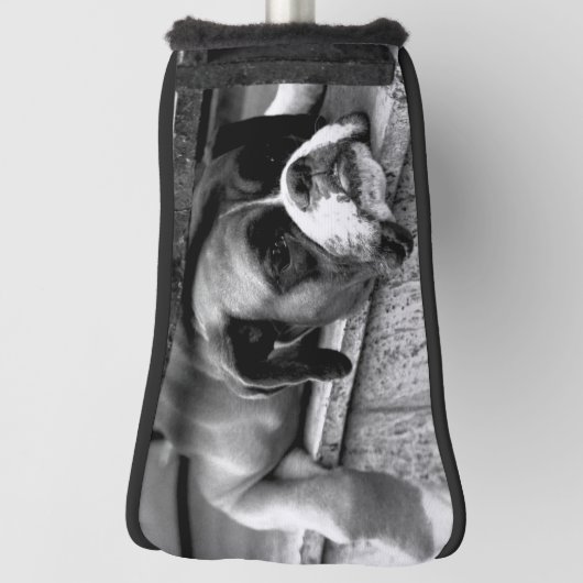 Boxer Dog auf Windows PCI Golf Headcover (Rotieren 90)