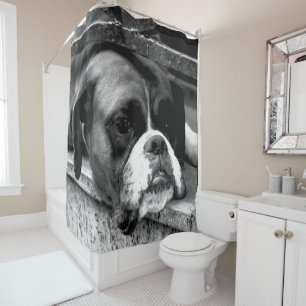 Boxer Dog auf Windows sccna Duschvorhang