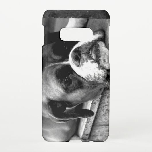 Boxer Dog auf Windows sgcnm Samsung Galaxy Hülle (Rückseite)