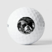 Boxer Dog auf Windows ssf gbcna Golfball (Vorderseite)
