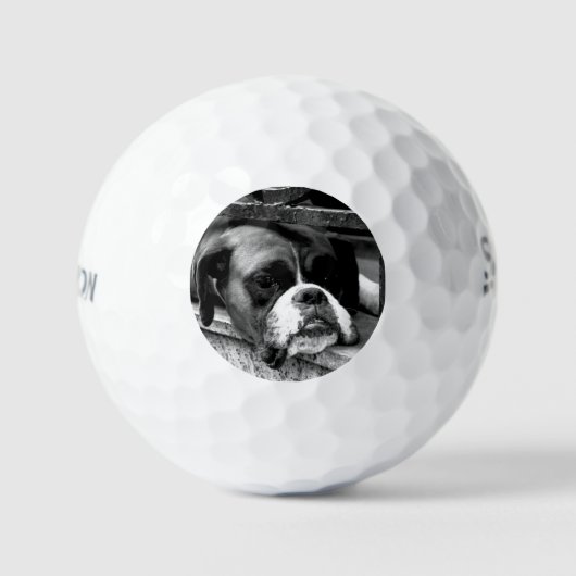Boxer Dog auf Windows ssf gbcnm Golfball (Vorderseite)