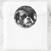Boxer Dog auf Windows-stcnm Runder Aufkleber (Tasche)