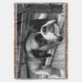 Boxer Dog auf Windows tbcnm Decke (Vorderseite Vertikal)