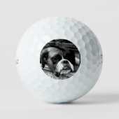 Boxer Dog auf Windows tpv1 gbcna Golfball (Vorderseite)