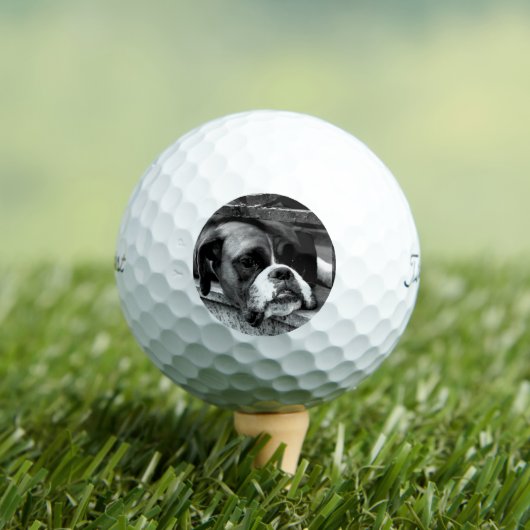 Boxer Dog auf Windows tpv1 gbcna Golfball (Insitu T-Shirt)
