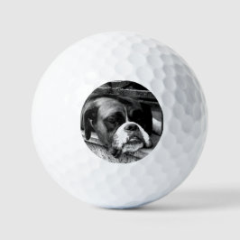 Boxer Dog auf Windows va gbcna Golfball