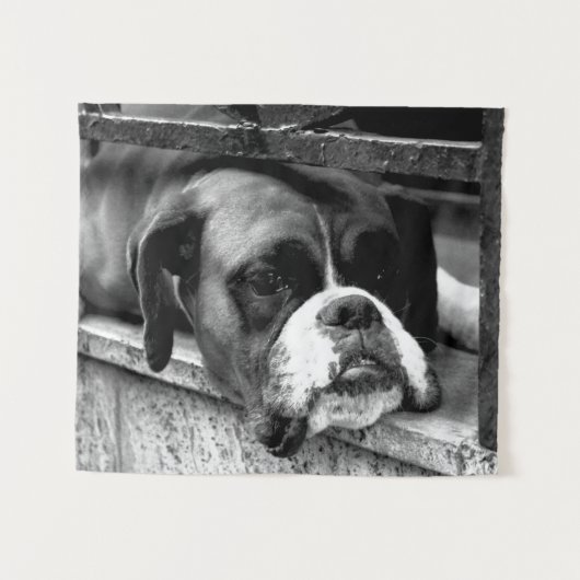 Boxer Dog auf Windows wtcna Wandteppich (Vorderseite (Horizontal))