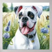 Boxer Dog Beauty Poster (Vorne)