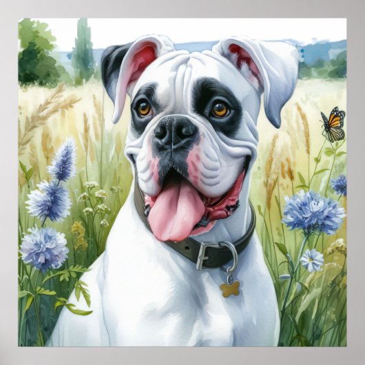 Boxer Dog Beauty Poster (Vorne)
