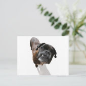 Boxer Dog Breed Postkarte (Stehend Vorderseite)