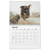 Boxer Dog Calendar Kalender (Mär 2027)