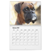 Boxer Dog Calendar Kalender (Feb 2027)