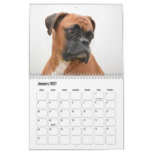Boxer Dog Calendar Kalender (Jan 2027)