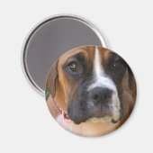 Boxer Dog Design Magnet (Vorderseite/Rückseite)
