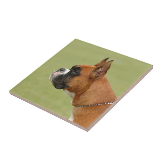 Boxer Dog Fliese (Seite)