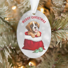 Boxer Dog Geschenk Überraschung Ornament