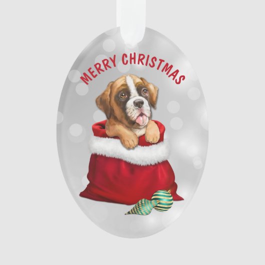 Boxer Dog Geschenk Überraschung Ornament (Vorderseite)